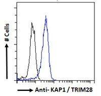 KAP1 antibody, C-term