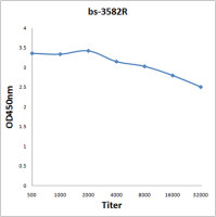 TIF1 gamma antibody