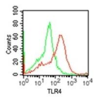 TLR4 antibody
