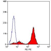 CD43 antibody [DFT-1] (PE)