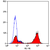 CD177 antibody [MEM-166] (PE)