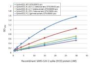 SARS-CoV-2 (COVID-19) Spike ELISA Pair [1A9 / HL