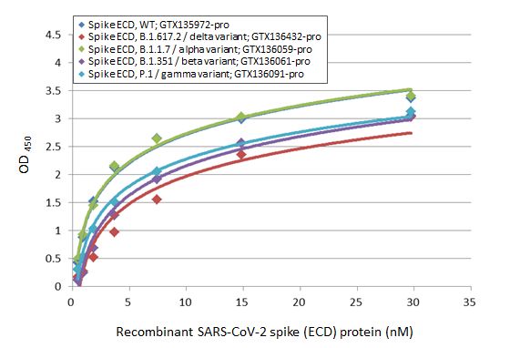 SARS-CoV-2 (COVID-19) Spike RBD antibody [HL1002]