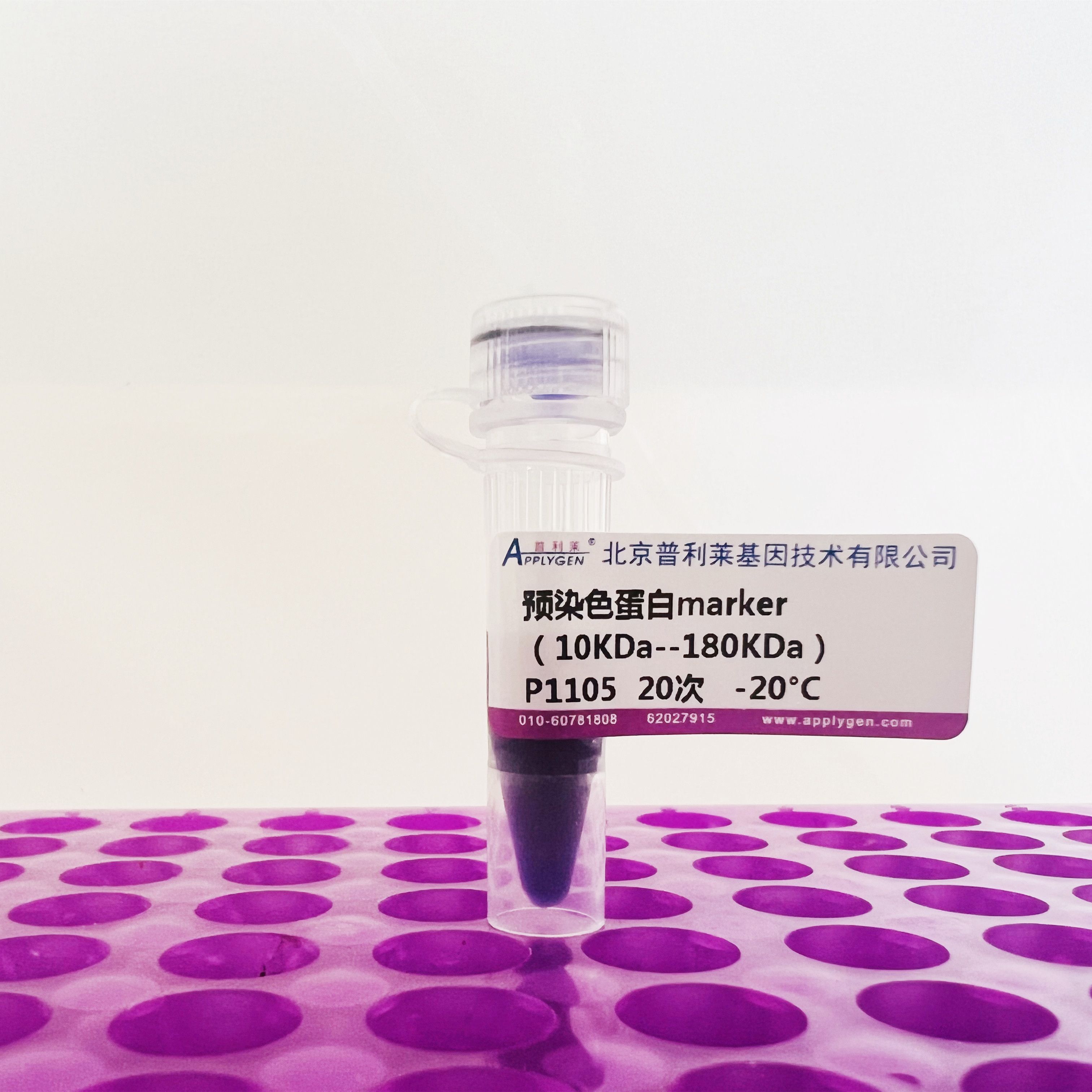 预染色蛋白marker（10KDa--180KDa）  P1105   厂家直销，提供OEM定制服务，大包装更优惠 