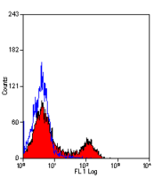 CD11b antibody [M1/70.15] (Biotin)