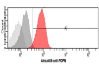 Podoplanin antibody [5E2]