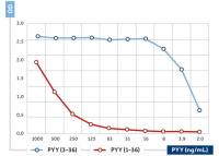 Peptide YY antibody [04]