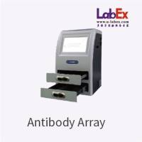 信号通路筛选？LabEx抗体芯片实验服务