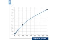 Lipocalin-2 antibody [14] (Biotin)