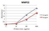 MMP12 ELISA Pair
