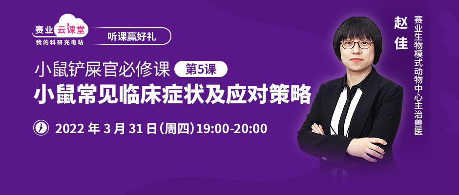 直播预告丨小鼠体型小小，“望闻问切”却大有学问