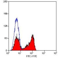 CD27 antibody [LT27] (Azide free)
