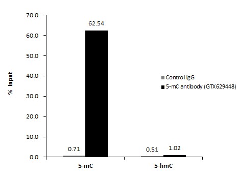 5-Methylcytosine / 5-mC antibody [GT4111]