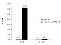 5-Methylcytosine / 5-mC antibody [GT4111]