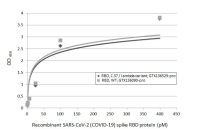 SARS-CoV-2 (COVID-19) Spike RBD Protein, C.37 / Lambda variant, His tag (active)