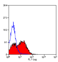 CD6 antibody [MRC OX-52]