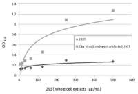 Zika virus Envelope protein antibody [GT871]