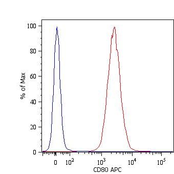 CD80 antibody [MEM-233] (PE)