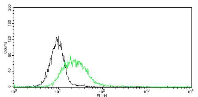 CD31 antibody [GT0010]