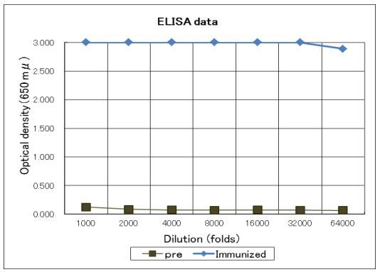 Legionella pneumophila antibody