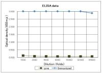 Legionella pneumophila antibody
