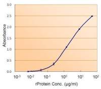 Calnexin ELISA Pair