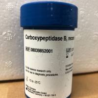 Roche货号08039852001羧肽酶B(重组)13611631389上海睿安生物