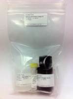 Calcium Colorimetric Assay Kit