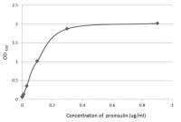C-Peptide antibody [GT1455]