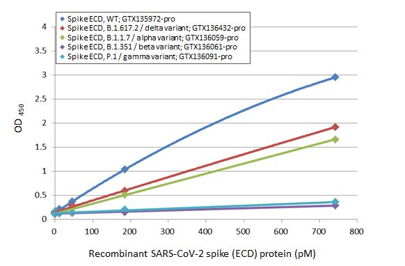 SARS-CoV-2 (COVID-19) Spike RBD ELISA pair [HL1014 / HL1004]
