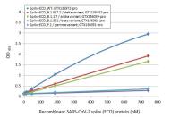 SARS-CoV-2 (COVID-19) Spike RBD ELISA pair [HL