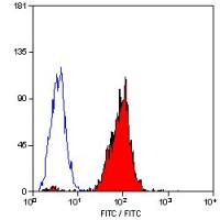 HLA-B7 antibody [BB7.1] (FITC)
