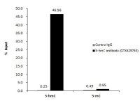 5-Hydroxymethylcytosine / 5-hmC antibody [GT13612]
