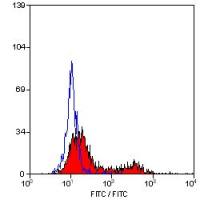 CD134 antibody [OX-40] (FITC)