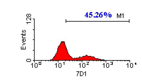 CACNB3 antibody [7D1]