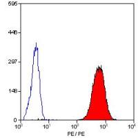 CD42b antibody [AK2] (PE)