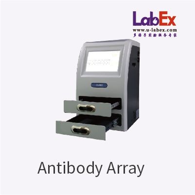 Antibody Array 抗体芯片服务
