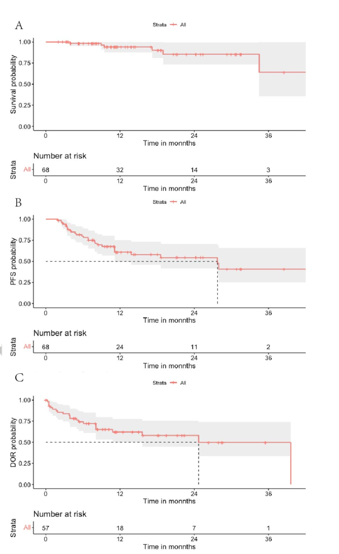 青岛大学附属医院薛宏伟教授：西达本胺全口服方案为淋巴瘤治疗开一扇窗