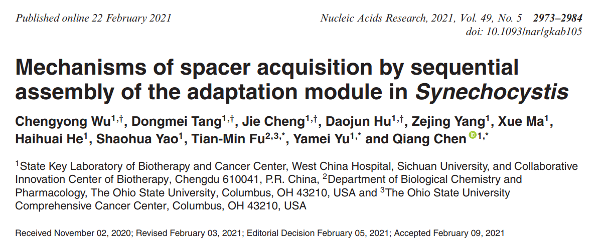 BEAVERBEADS®蛋白纯化磁珠助力科学家揭示CRISPR-CAS系统适应阶段新机制