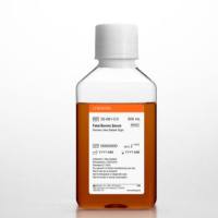 Corning 新西兰胎牛血清FBS 35-081-CV