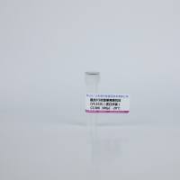 鼠抗V5标签单克隆抗体(V5.E10) C1306