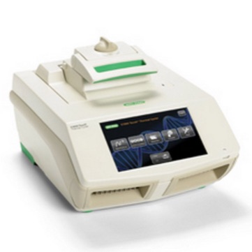 伯乐C1000 Touch 双48孔梯度PCR仪
