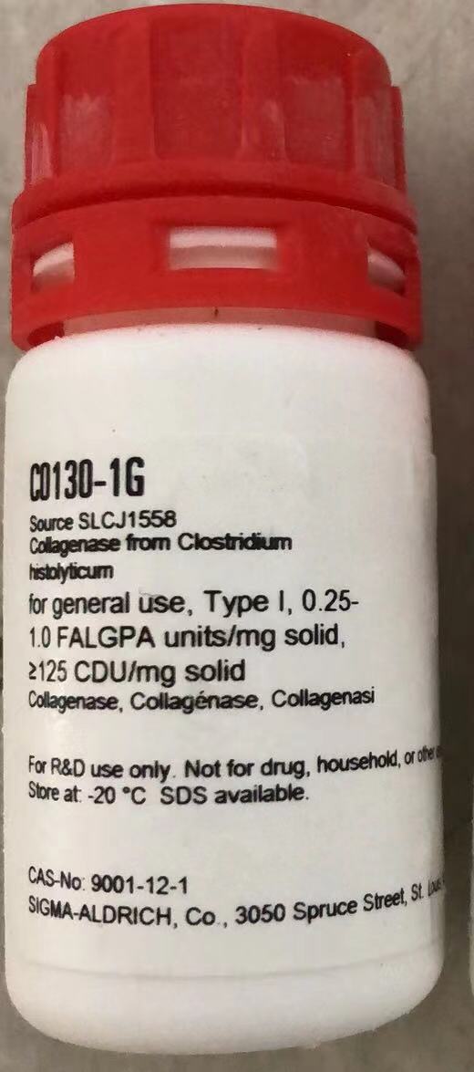 现货Sigma货号C0130-0.1g胶原酶I(Type I