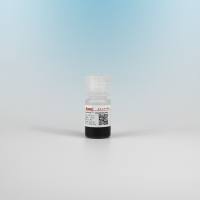 化学发光磁珠 链霉亲和素磁珠300nm Streptavidin