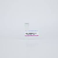 鼠抗p53单克隆抗体 (6C4)C1353