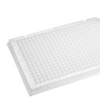 40ul-384孔PCR板-全裙边axygen