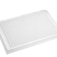 384孔板，透明V形底120uL聚丙烯深孔板