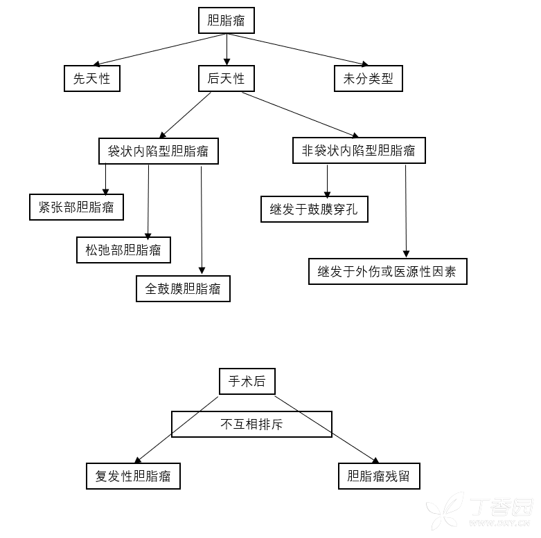 图片预览