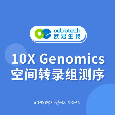 10X Genomics 空間轉錄組測序-歐易生物
