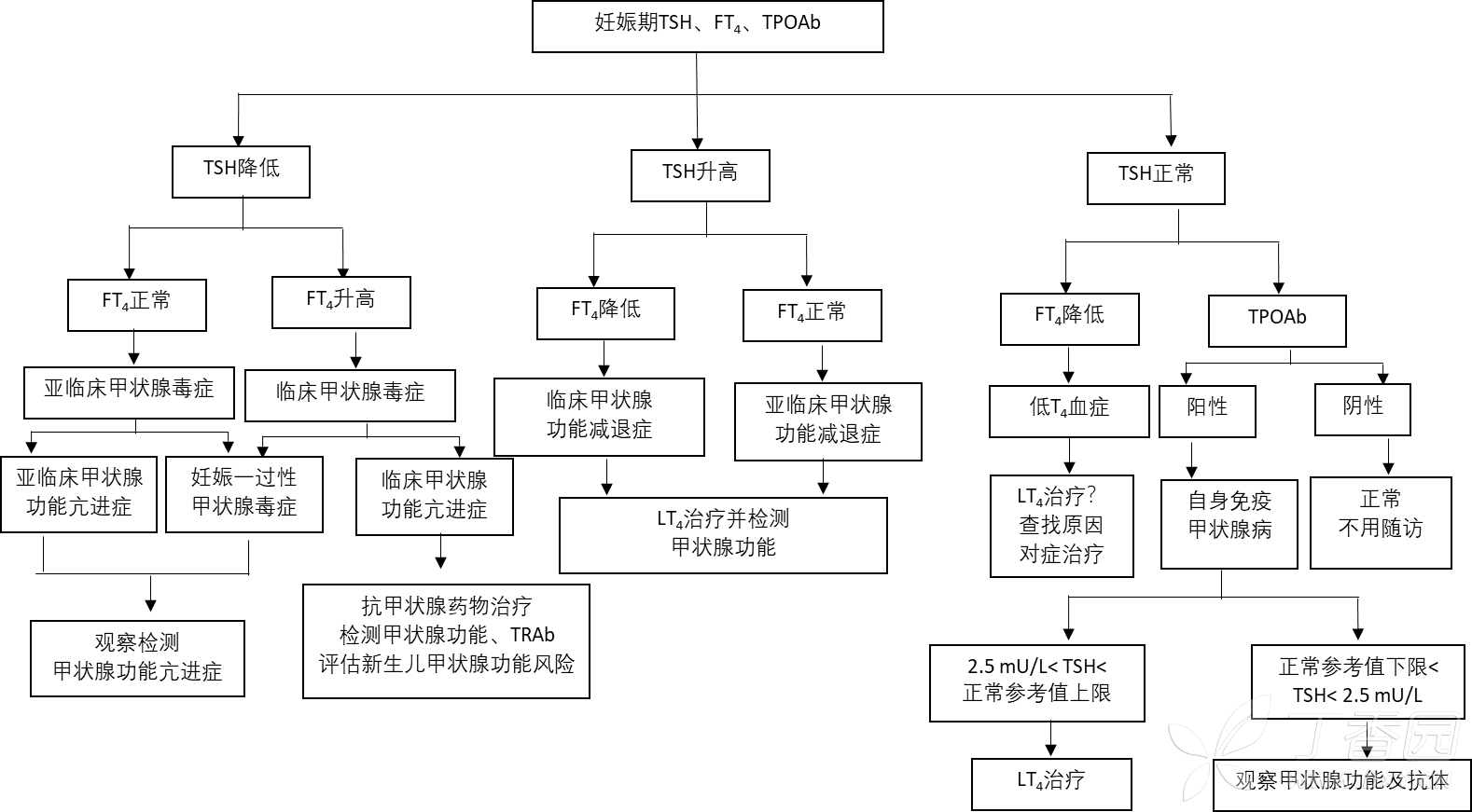 图片预览